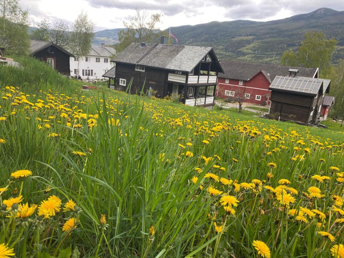 Hesla Farm Leilighet Gol Eksteriør bilde